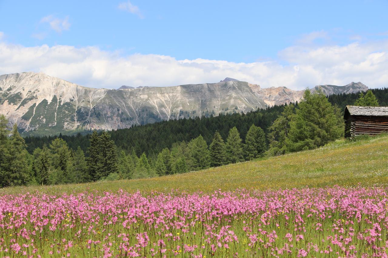 Hotel Alpenrose Dolomites La Valle Exteriér fotografie
