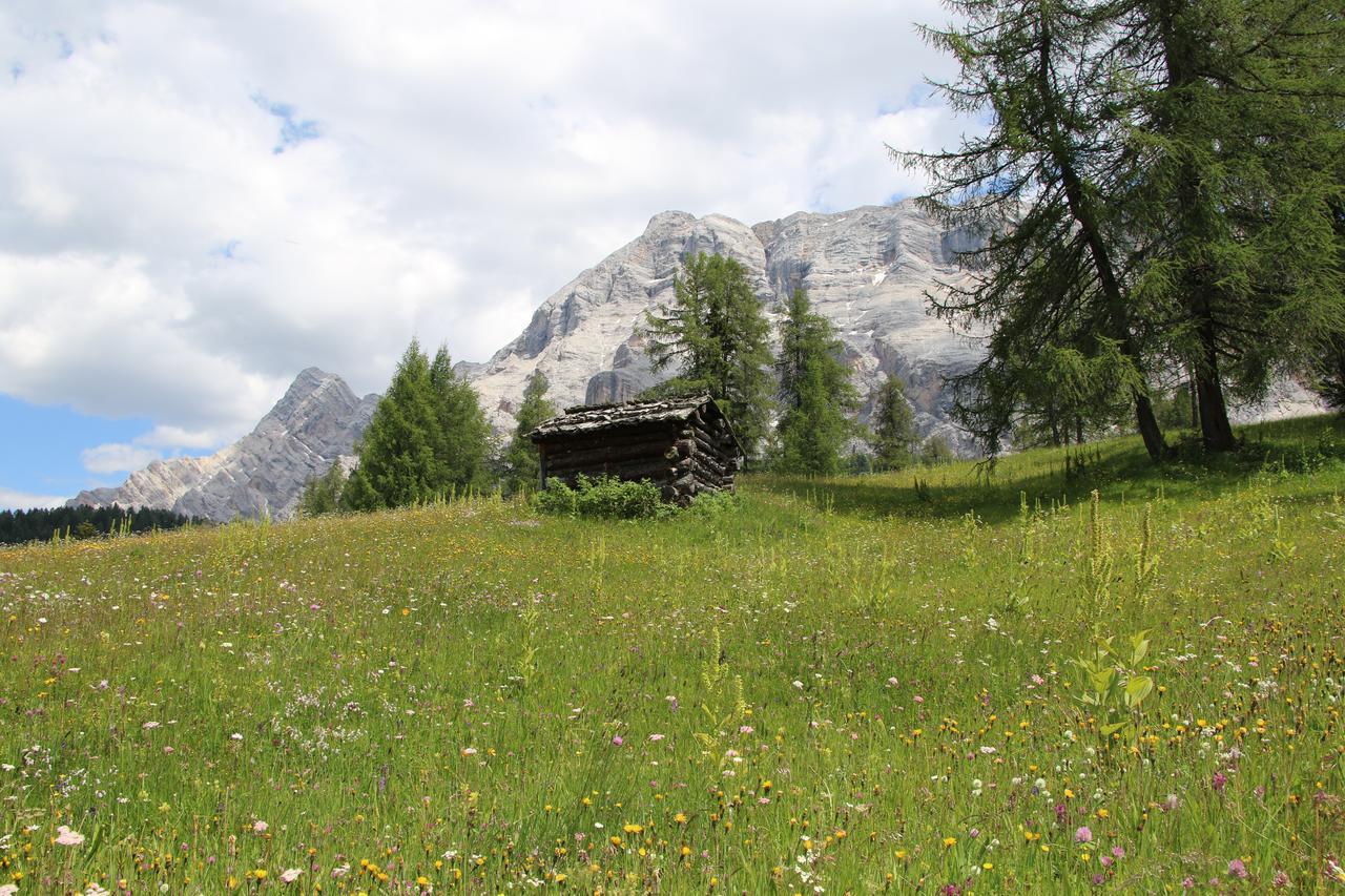 Hotel Alpenrose Dolomites La Valle Exteriér fotografie