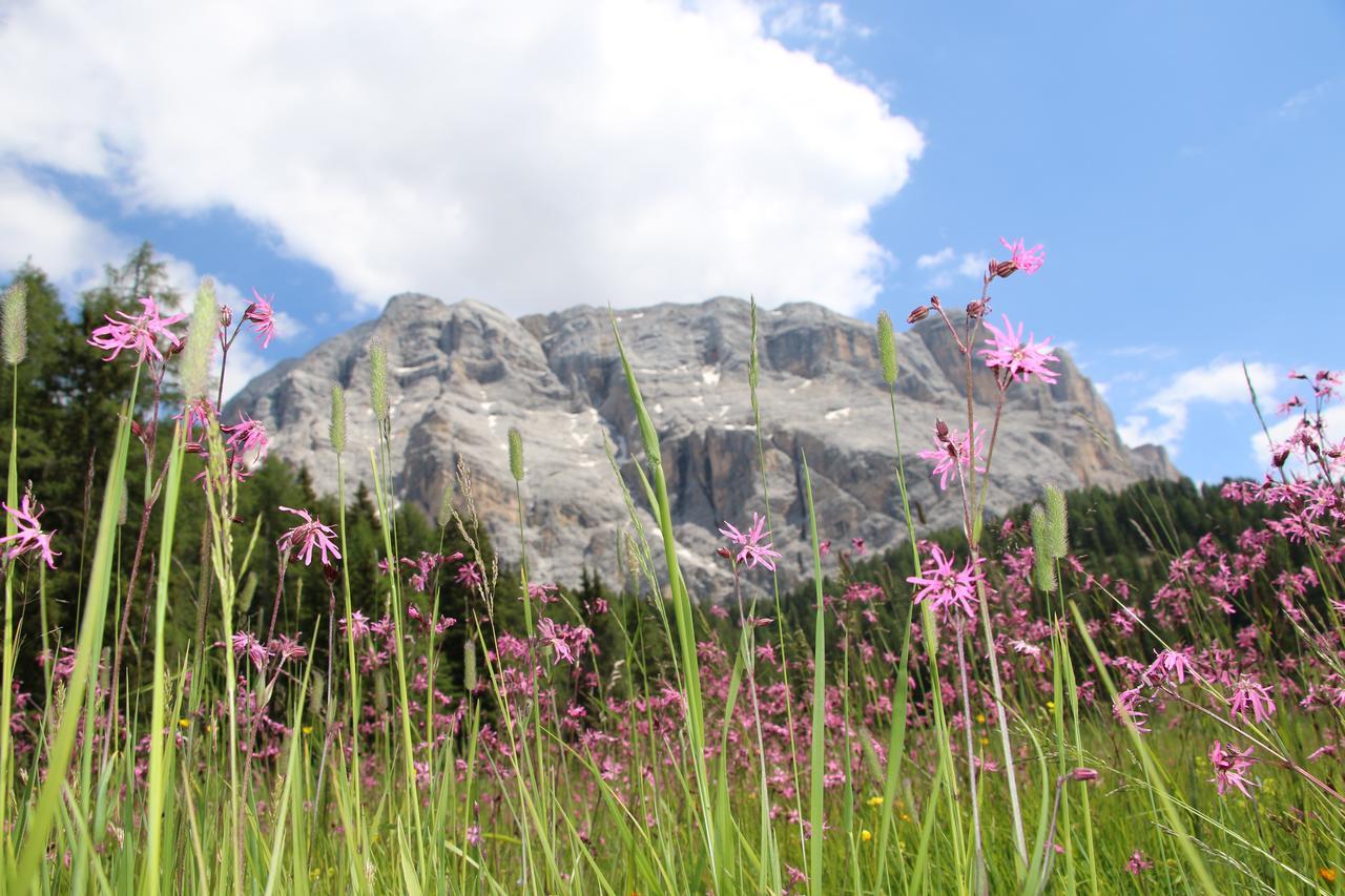Hotel Alpenrose Dolomites La Valle Exteriér fotografie